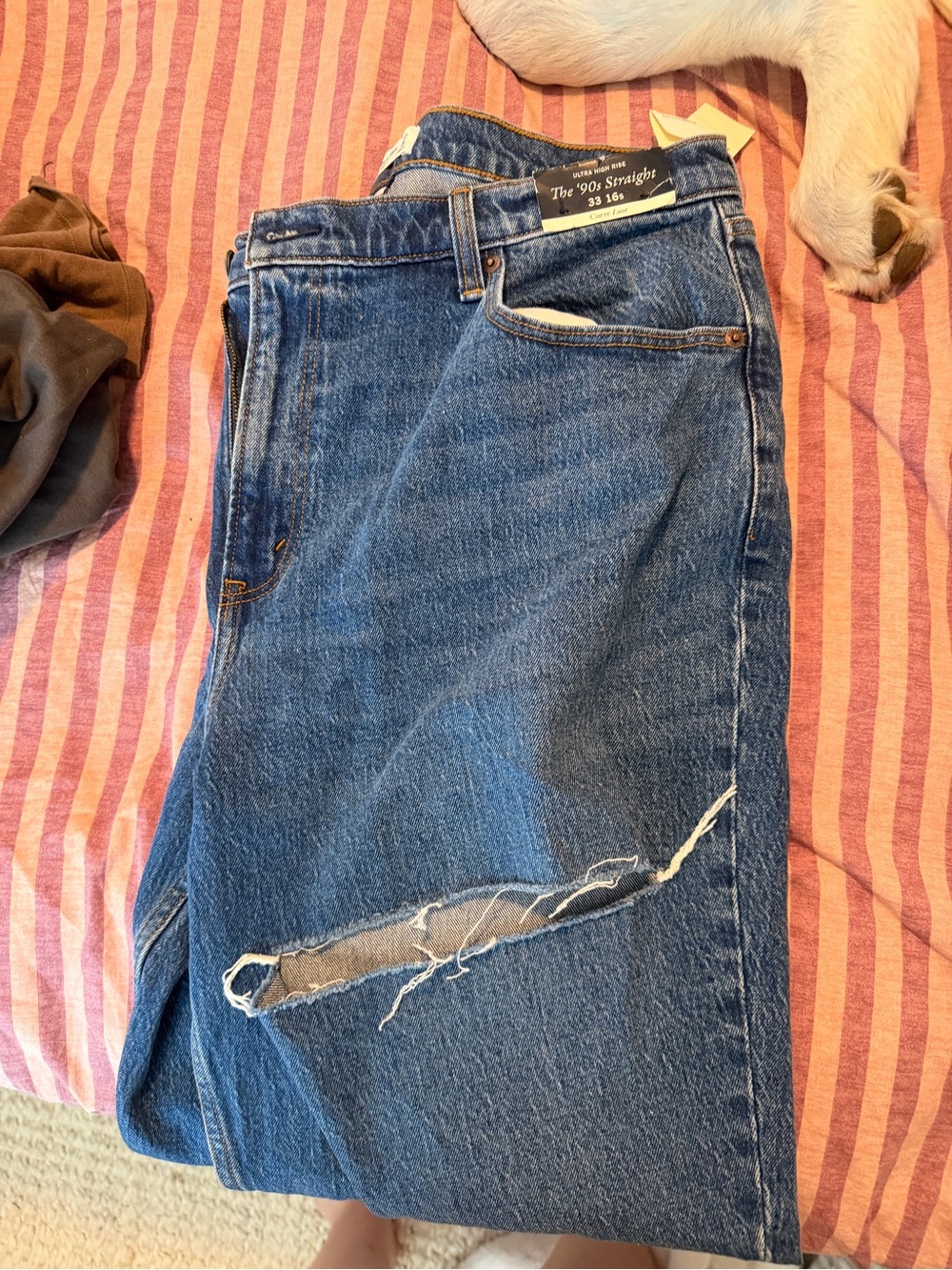 Abercrombie & Fitch Blue Women's jeans nwt